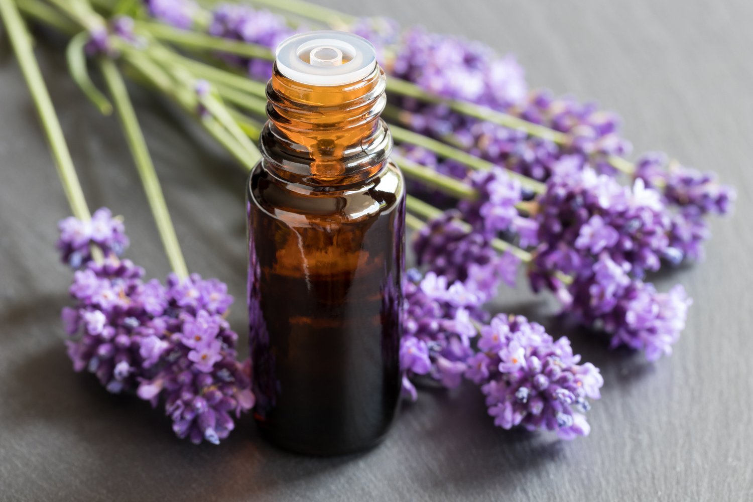 Lavender essential oil